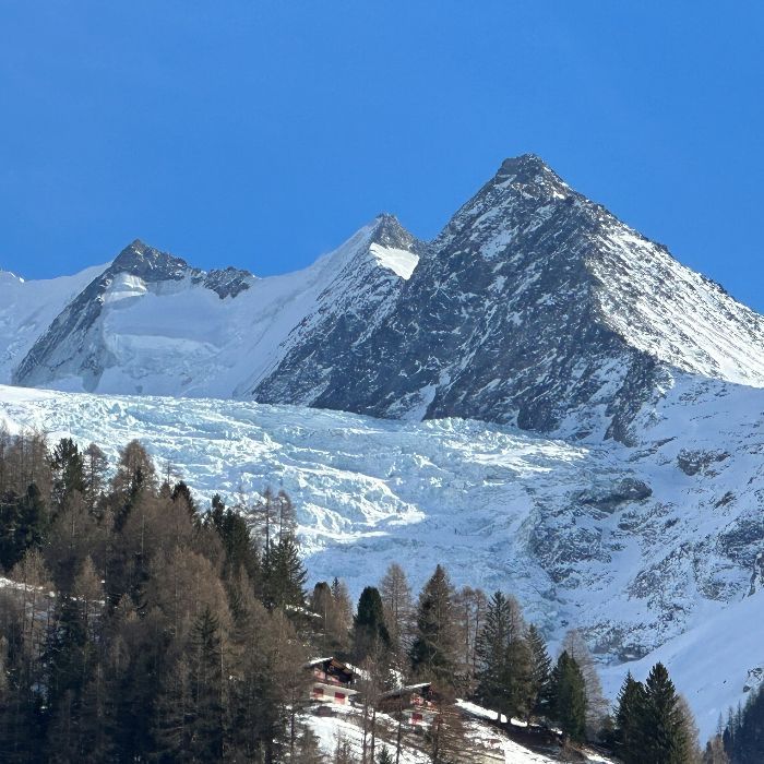FEWOlution Ferienwohnung Swiss Paradise St Niklaus