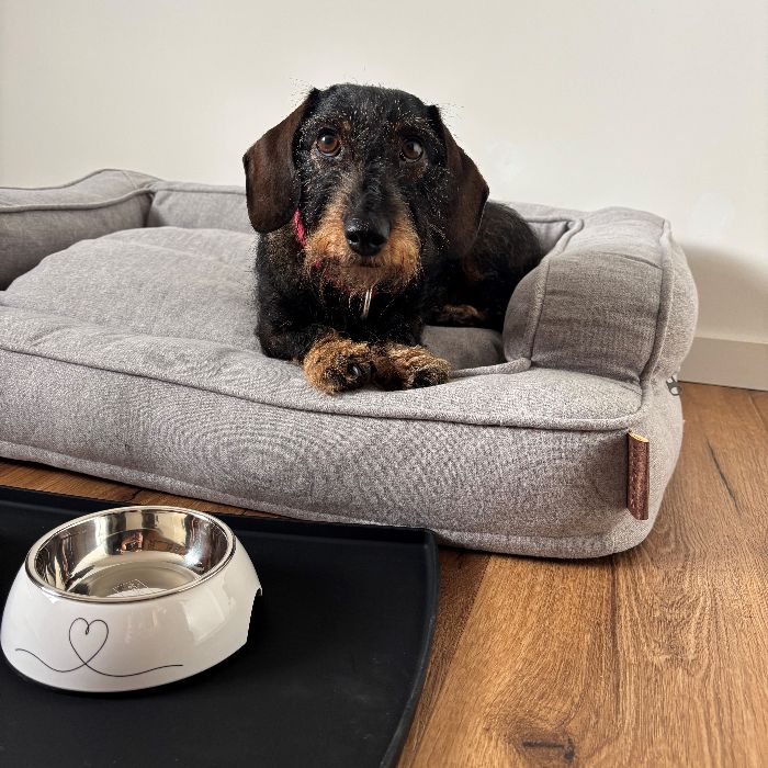 Ferienwohnung suite4you Riedt bei Erlen FEWOlution