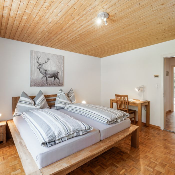 Ferienwohnung Trü Nr. 19 – Moderne FeWo Scuol FEWOlution