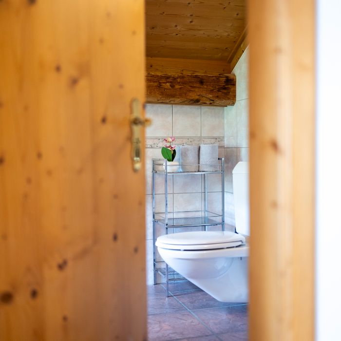 Ferienwohnung Chasa Porta 19 - Zentral Scuol FEWOlution