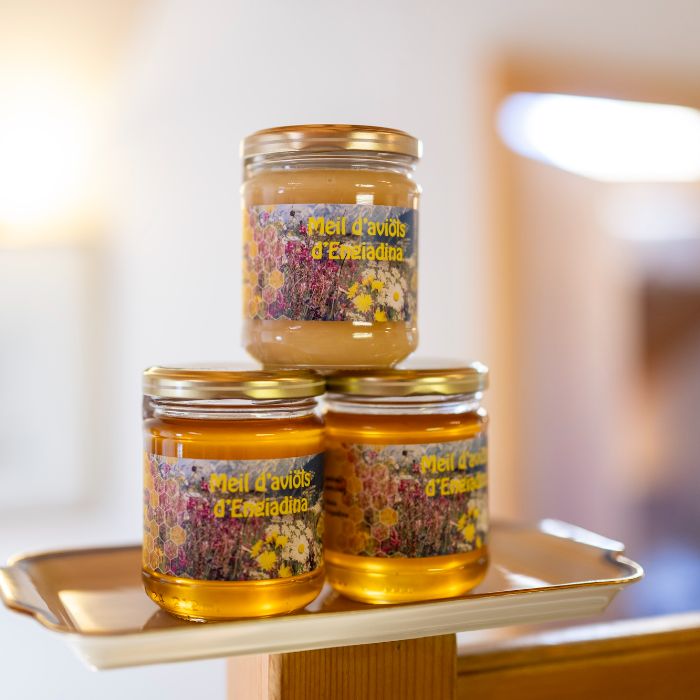 Ferienwohnung Chasa Porta 19 - Zentral Scuol FEWOlution