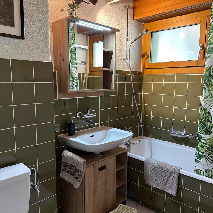 Ferienwohnung Gemütlichkeit in Lenzerheide Lenzerheide FEWOlution