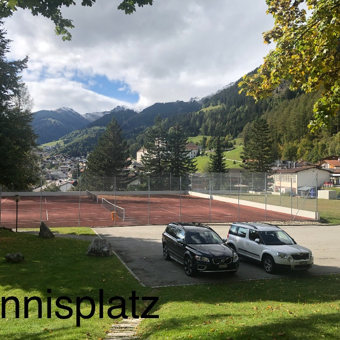Ferienwohnung 2,5 Zi-Gartenwohnung Disentis Disentis FEWOlution