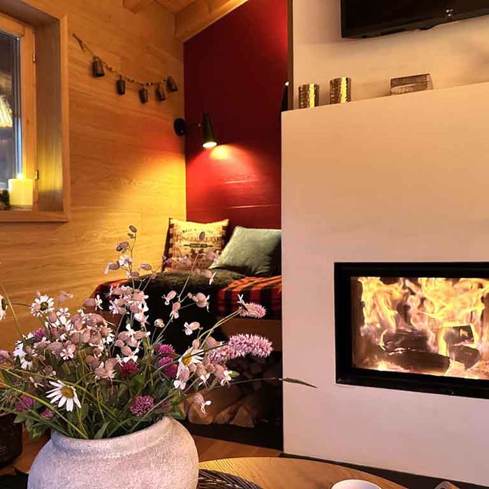 Ferienwohnung Blue Alpine Lodge bis 6 Pers. Dieni Tujetsch FEWOlution