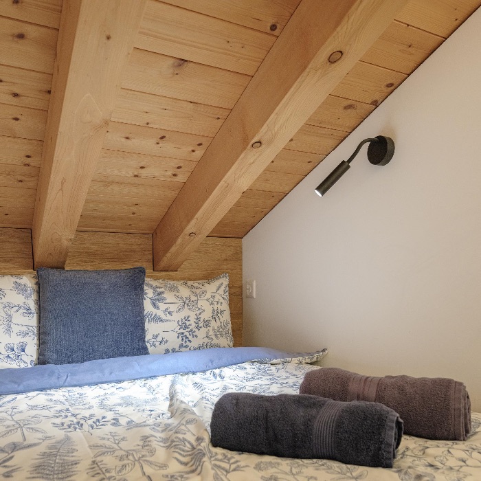 Ferienwohnung Blue Alpine Lodge bis 6 Pers. Dieni Tujetsch FEWOlution