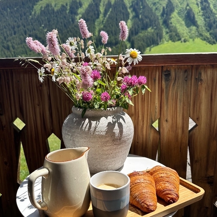 Ferienwohnung Blue Alpine Lodge bis 6 Pers. Dieni Tujetsch FEWOlution