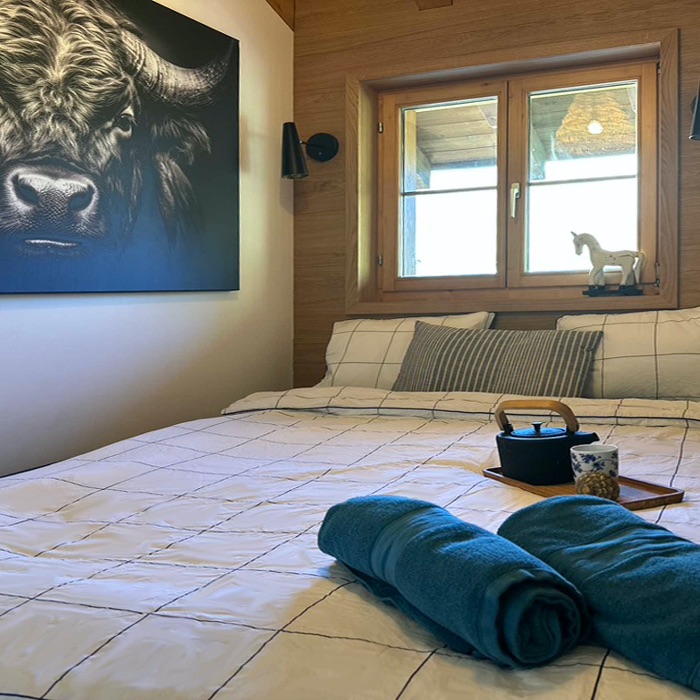 Ferienwohnung Blue Alpine Lodge bis 6 Pers. Dieni Tujetsch FEWOlution