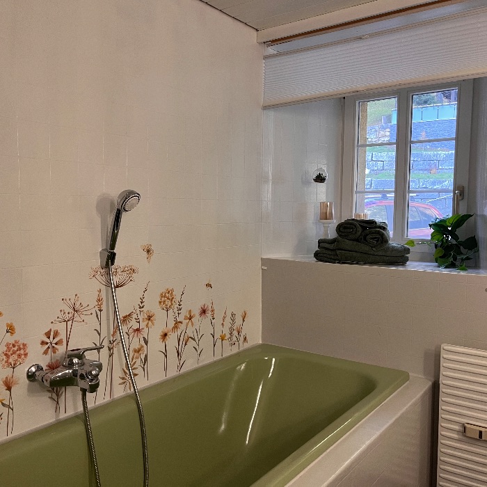 Ferienwohnung Dammablick Göschenen  Göschenen  FEWOlution