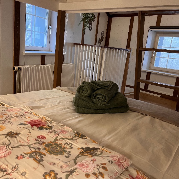 Ferienwohnung Dammablick Göschenen  Göschenen  FEWOlution