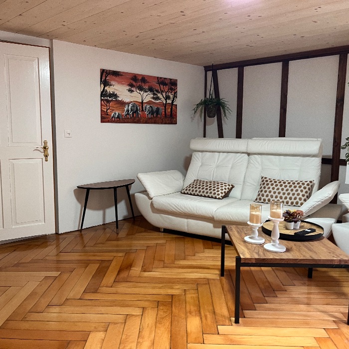 Ferienwohnung Dammablick Göschenen  Göschenen  FEWOlution