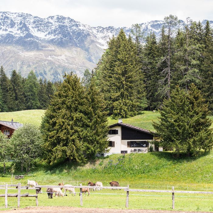 Ferienwohnung Chalet Laret Davos FEWOlution