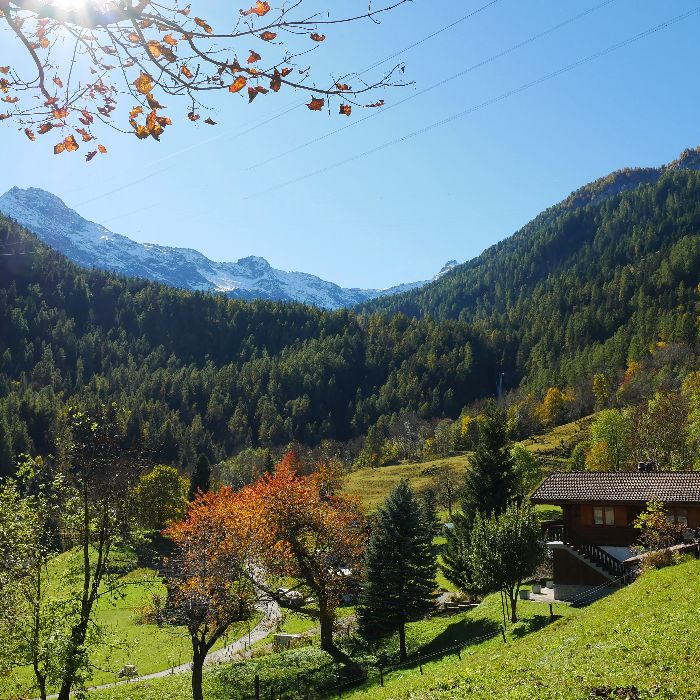 Ferienwohnung Chalet Romantica Dalpe FEWOlution