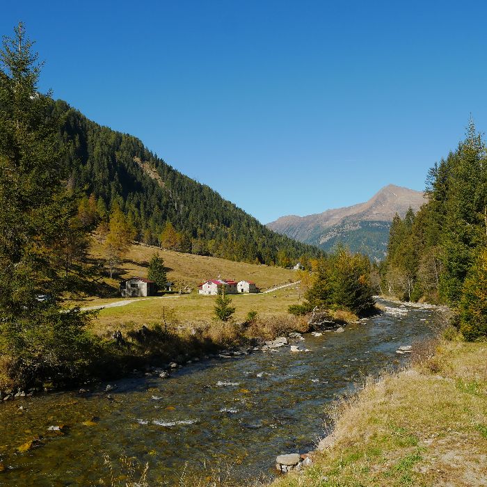 Ferienwohnung Chalet Romantica Dalpe FEWOlution