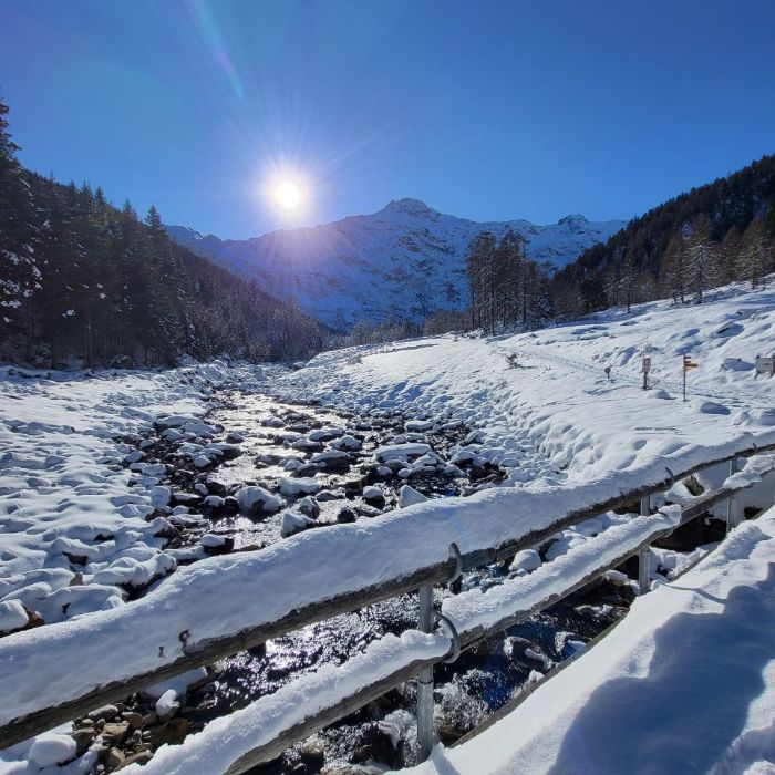 FEWOlution Ferienwohnung Chalet Romantica Dalpe