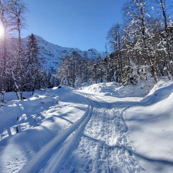 FEWOlution Ferienwohnung Chalet Romantica Dalpe