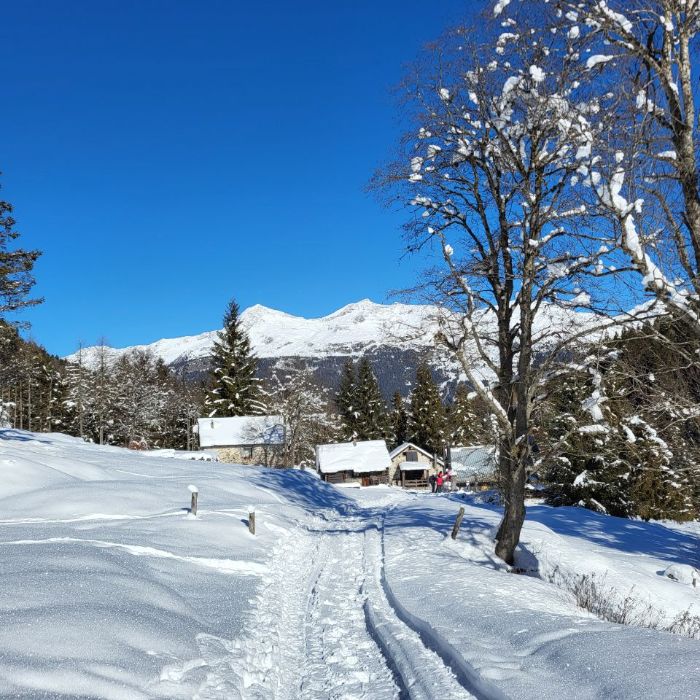 FEWOlution Ferienwohnung Chalet Romantica Dalpe