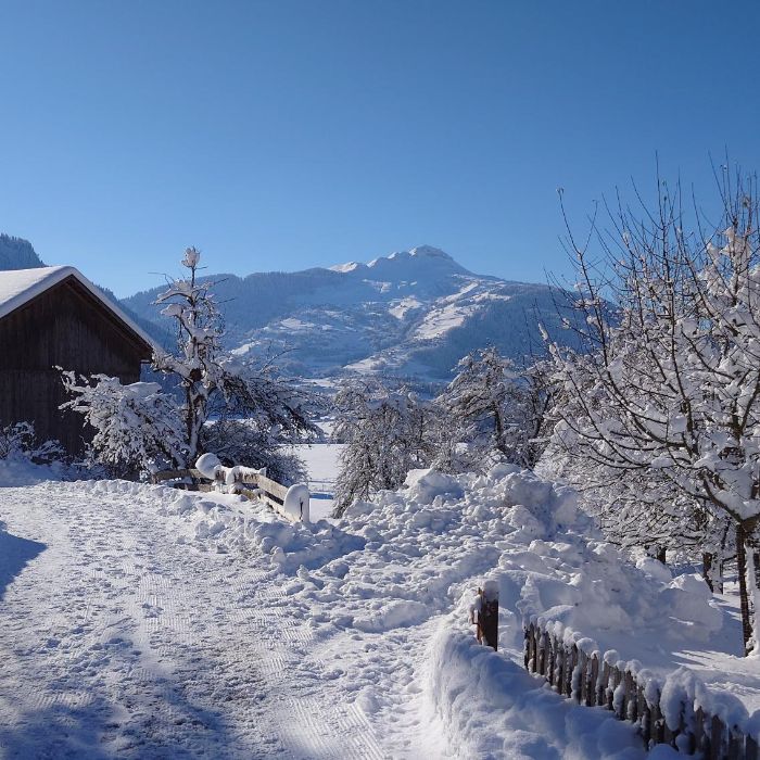 Ferienwohnung Klein aber Fein Sagogn FEWOlution