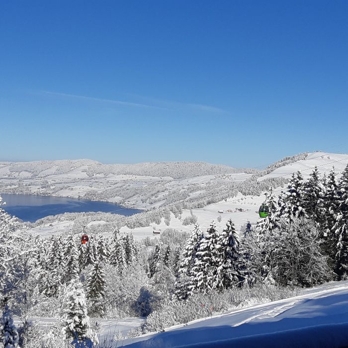 Ferienwohnung Chalet Abigsunnä Sattel FEWOlution