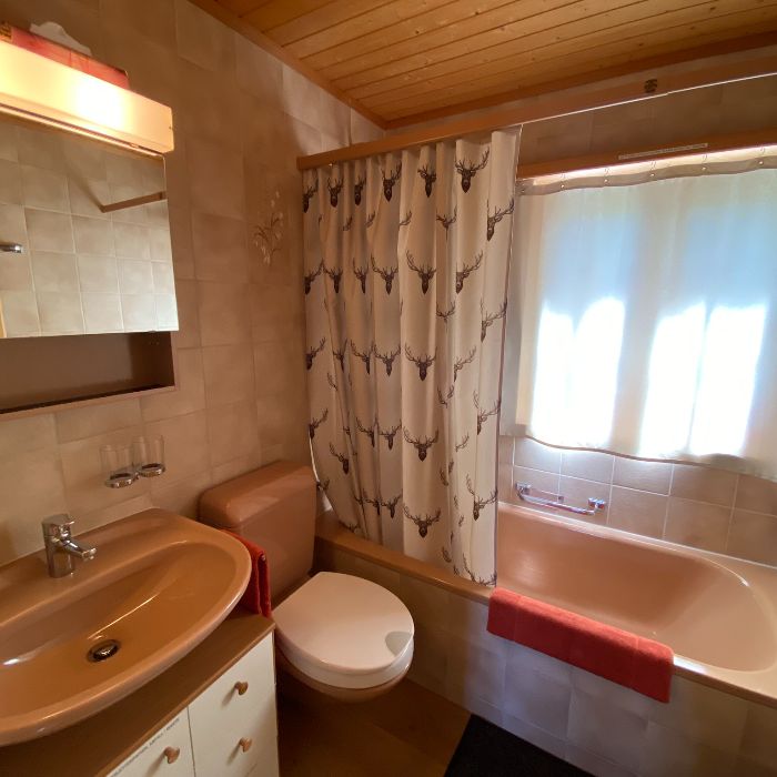 FEWOlution Ferienwohnung Specht Axalp