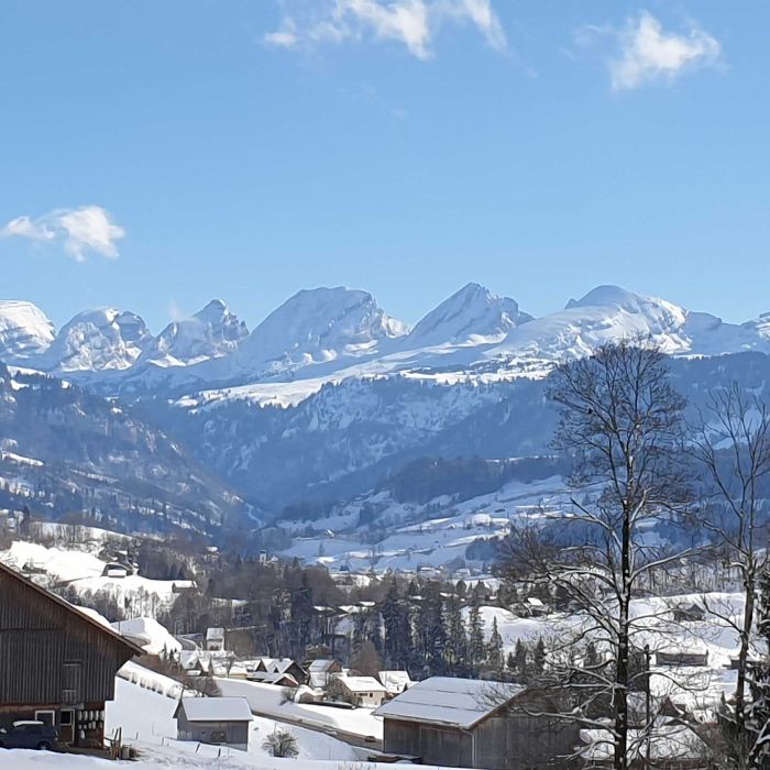 FEWOlution Ferienwohnung FeWo-Mühle Krummenau