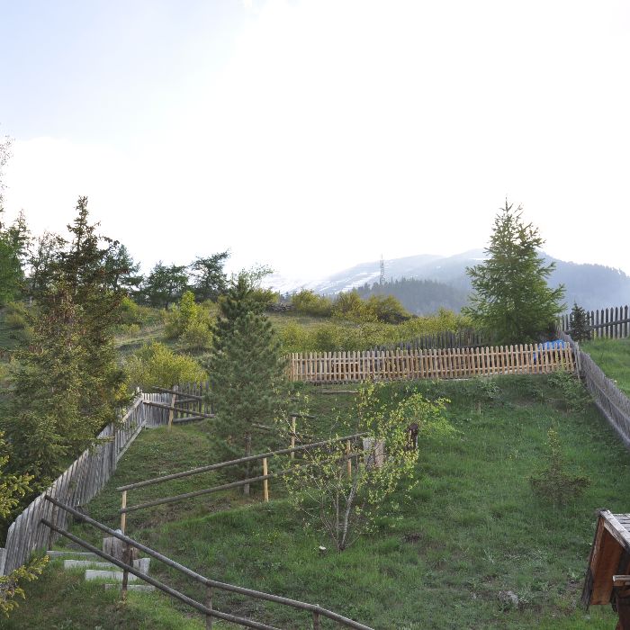 Ferienwohnung Haus Mattaboni  Zernez FEWOlution