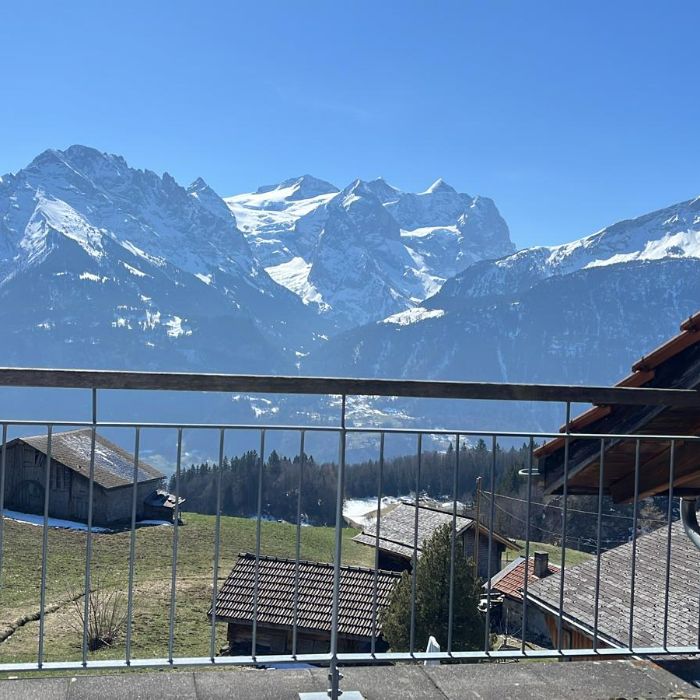 FEWOlution Ferienwohnung Hasliblick Wasserwendi