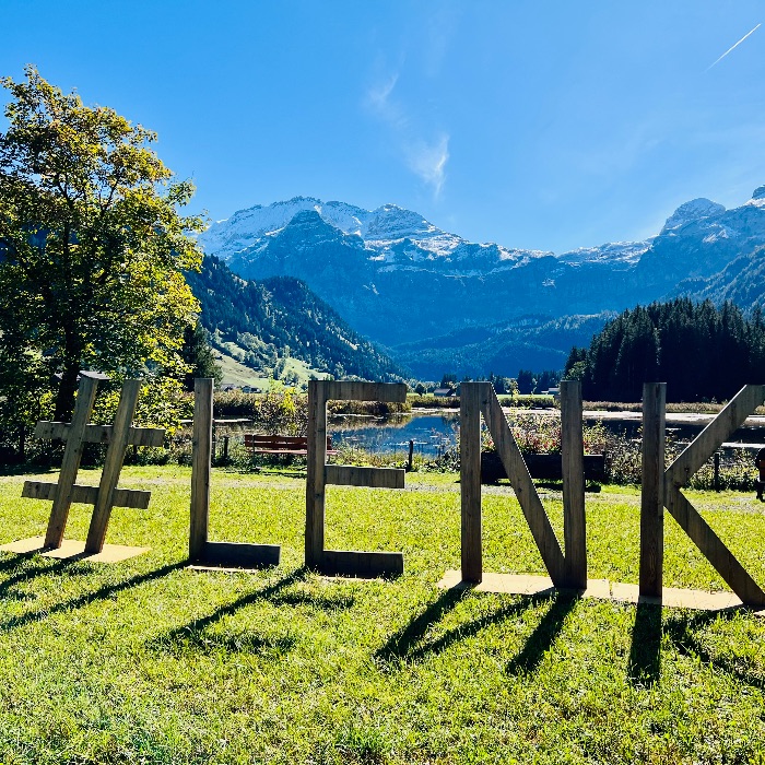 Ferienwohnung Chalet Feldheim  Lenk  FEWOlution