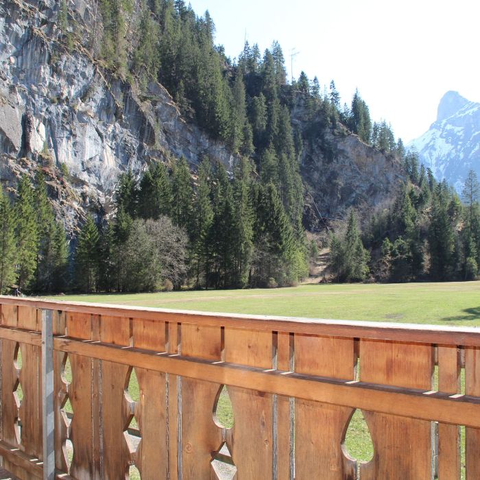 FEWOlution Ferienwohnung Chalet Ärfeli Kandersteg
