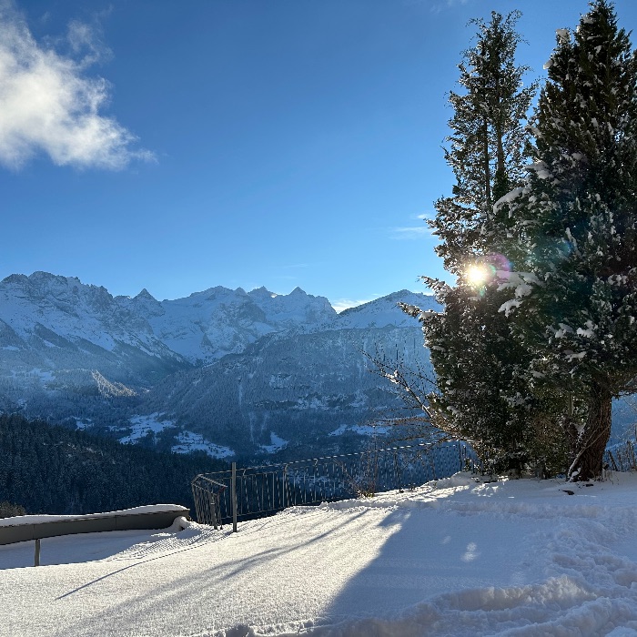 FEWOlution Ferienwohnung Chalet Bergstern Hasliberg