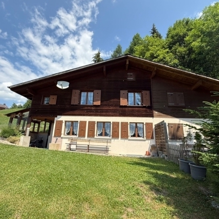 FEWOlution Ferienwohnung Chalet Bergstern Hasliberg