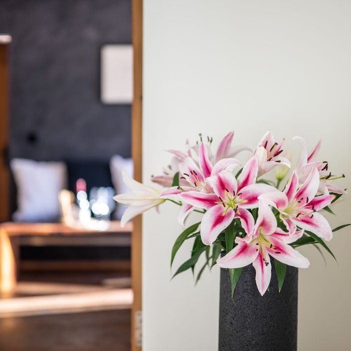 FEWOlution Ferienwohnung Chasa Vital Sent