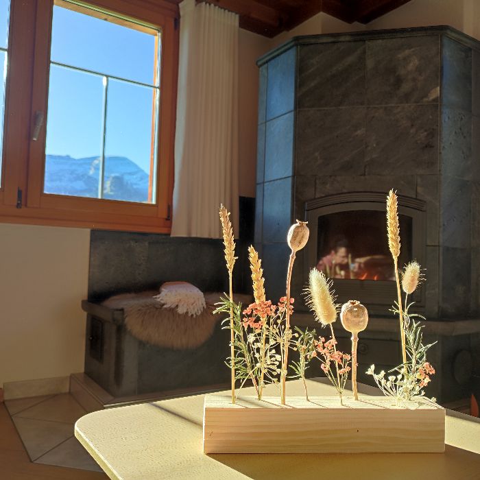 FEWOlution Ferienwohnung s`Hüsli Gubel 567 Alt St. Johann