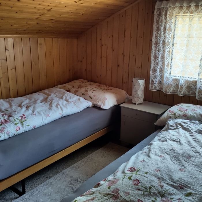 FEWOlution Ferienwohnung Lüeg ins Land Bürchen