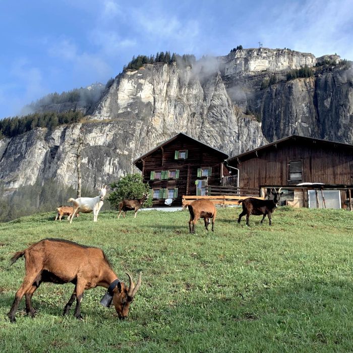 Ferienwohnung Casa Luanna Flims FEWOlution