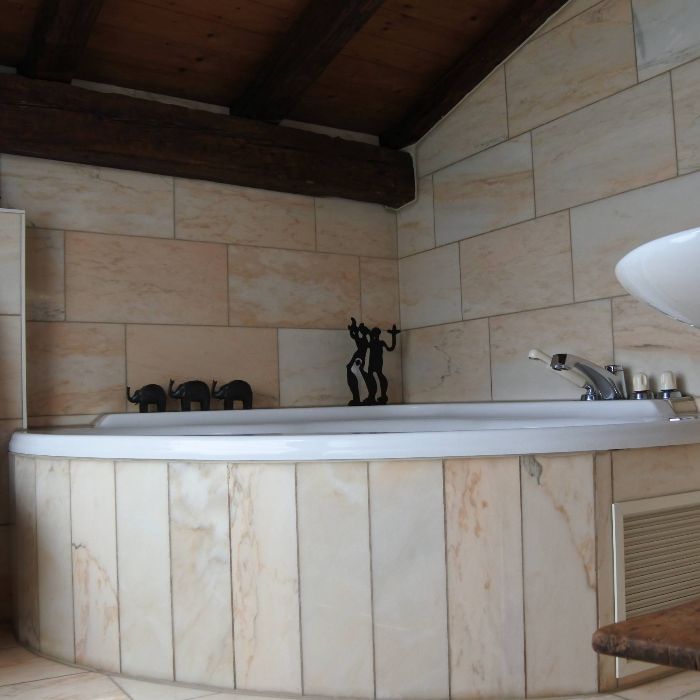 Ferienwohnung Rustico Gallo d Oro Molinazzo di Monteggio FEWOlution