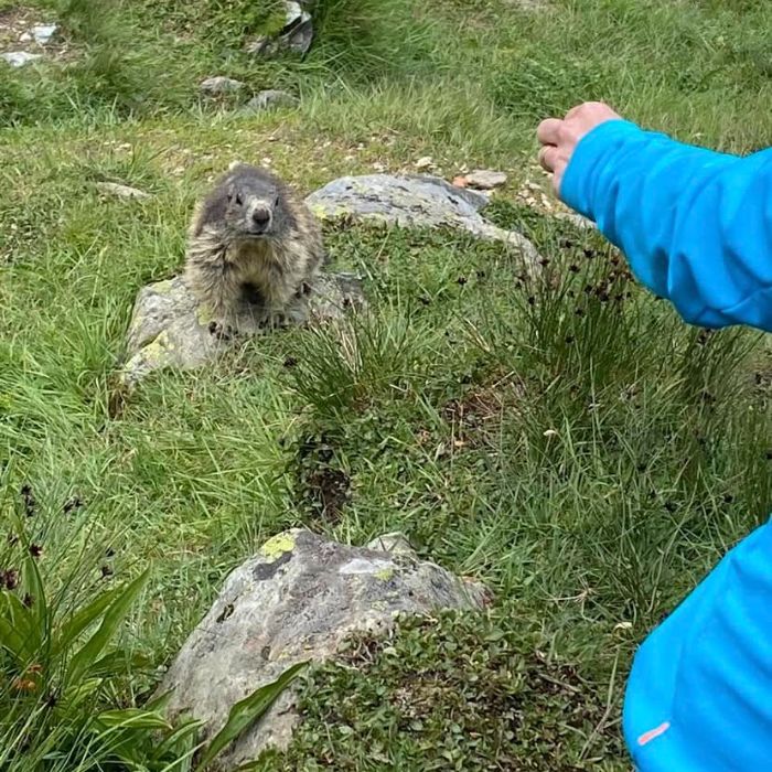 FEWOlution Ferienwohnung Bettina 8 Saas-Fee