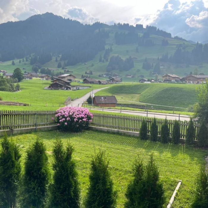 FEWOlution Ferienwohnung Ferienwohnung Flott Adelboden