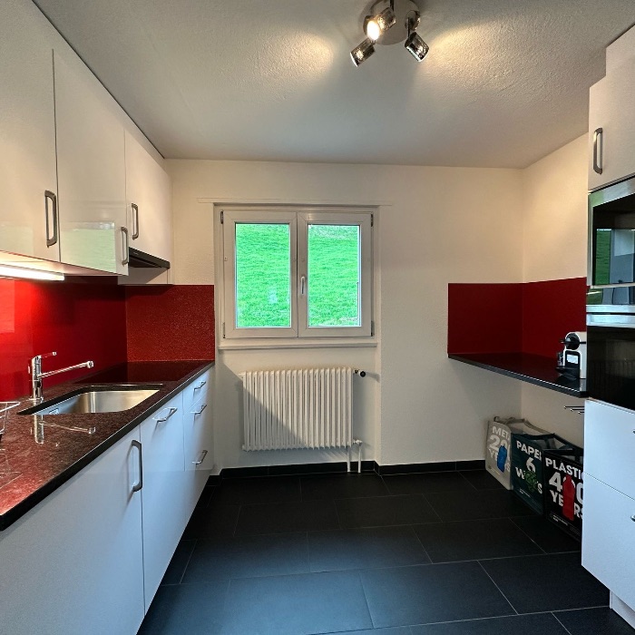 Ferienwohnung Wohnung mit Blick in die Berg Grindelwald  FEWOlution