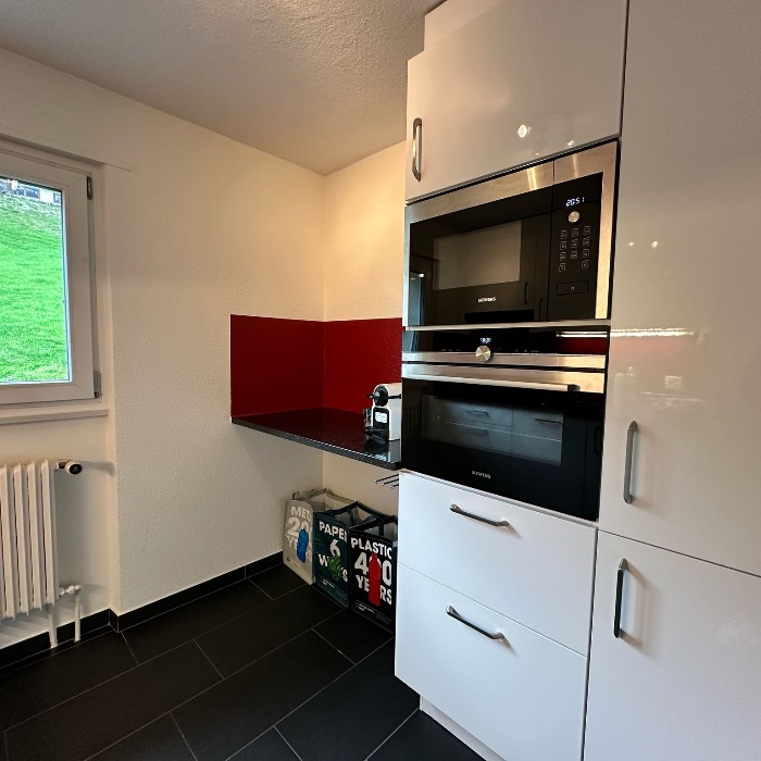 Ferienwohnung Wohnung mit Blick in die Berg Grindelwald  FEWOlution