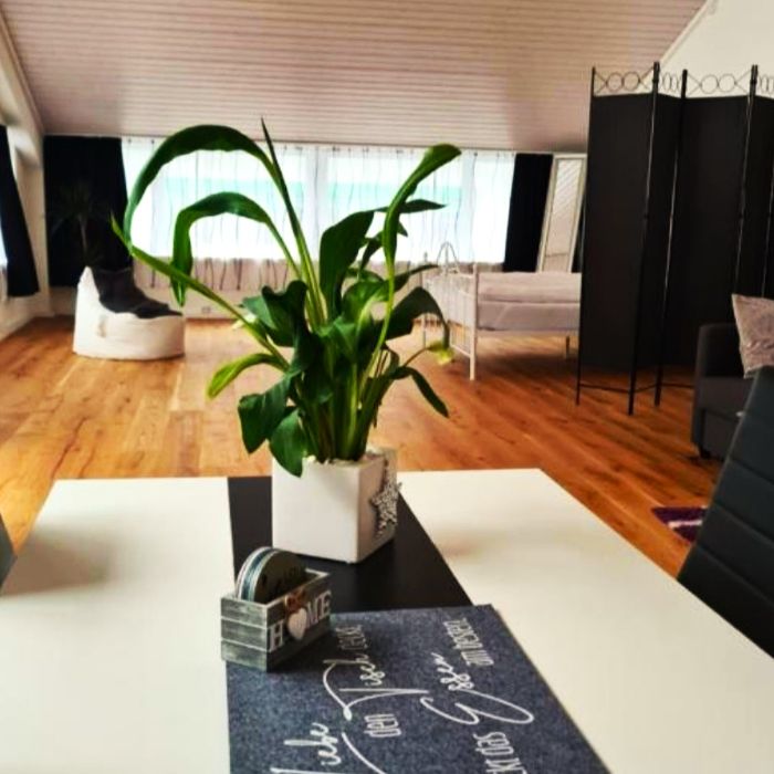 Ferienwohnung Muota River Loft Ried Muotathal  FEWOlution