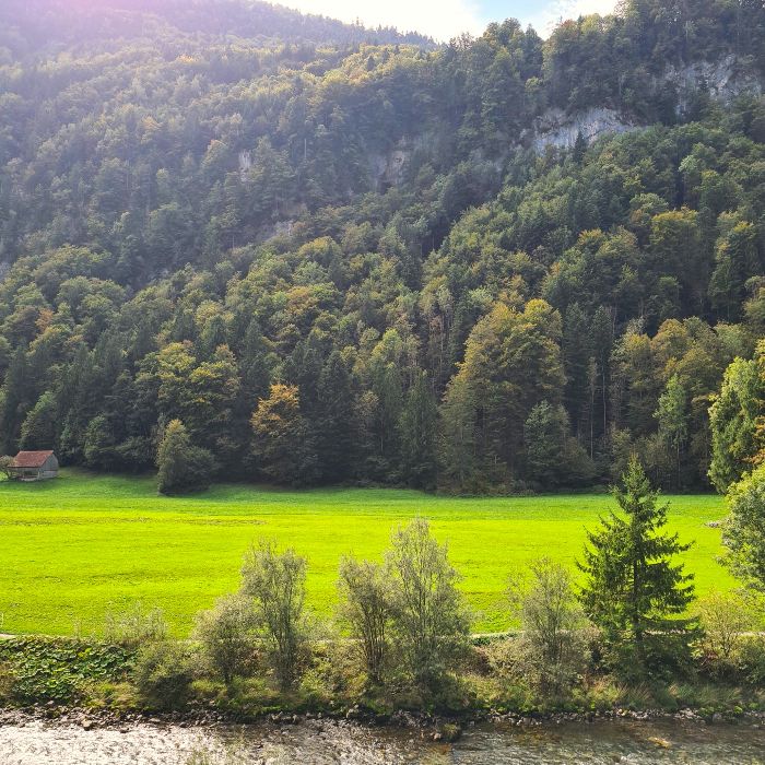 Ferienwohnung Muota River Loft Ried Muotathal  FEWOlution