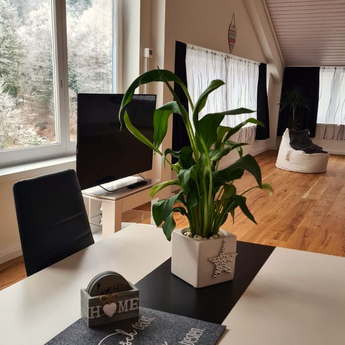 Ferienwohnung Muota River Loft Ried Muotathal  FEWOlution