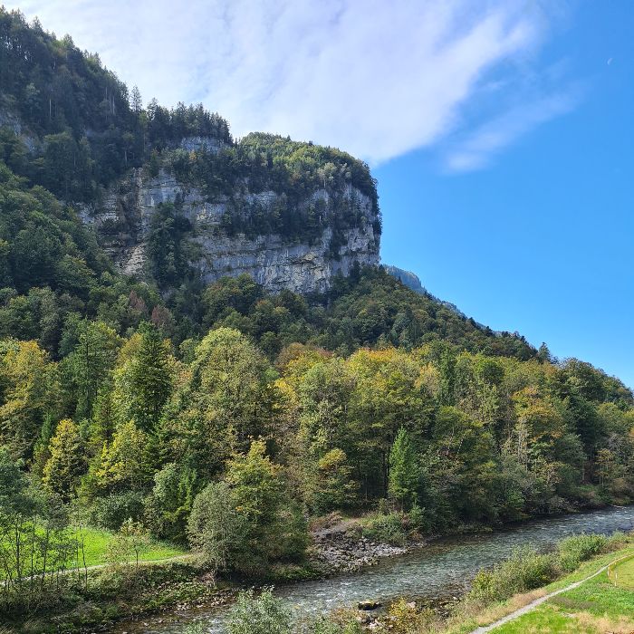 Ferienwohnung Muota River Loft Ried Muotathal  FEWOlution