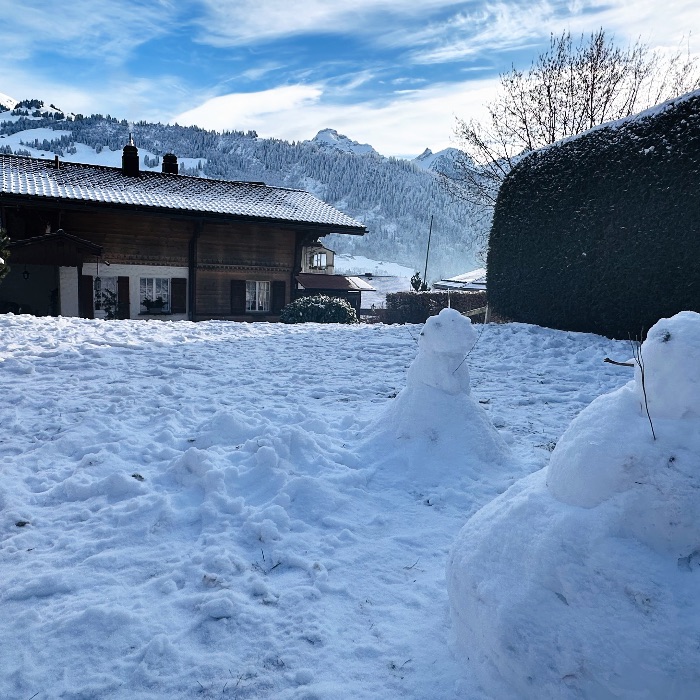 Ferienwohnung Chalet Solaria 2 BR Zweisimmen  FEWOlution