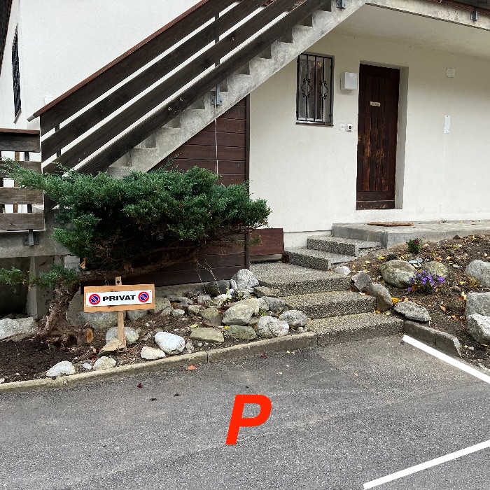 FEWOlution Ferienwohnung SnowKaya Grindelwald Grindelwald