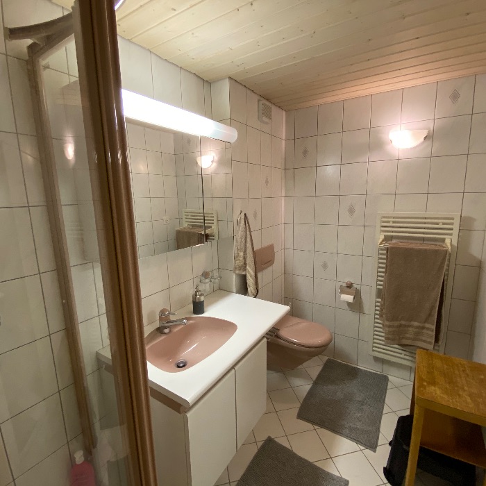 FEWOlution Ferienwohnung Chalet Jungtalblick: Drieri Grächen