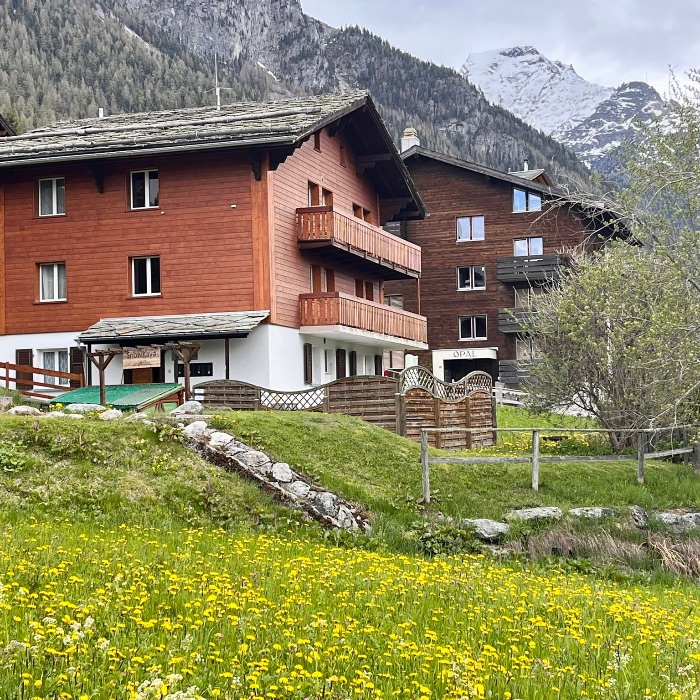 FEWOlution Ferienwohnung Chalet Jungtalblick: Drieri Grächen