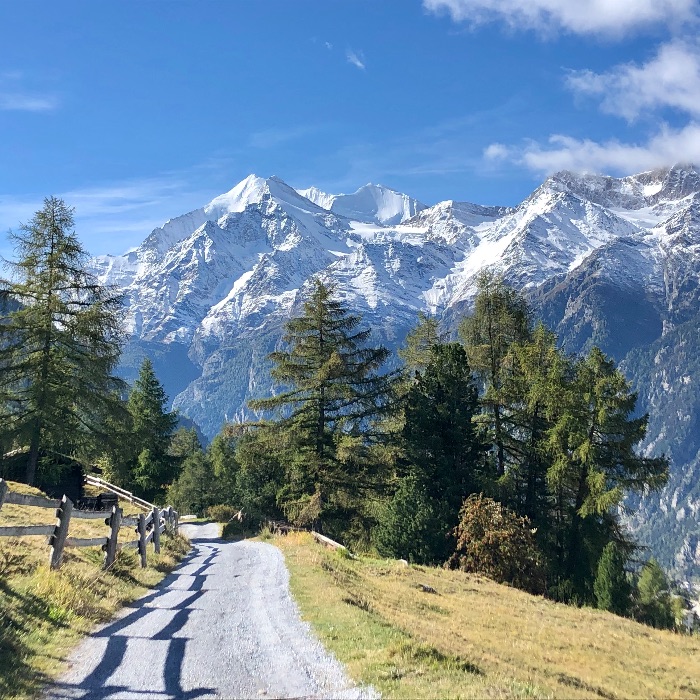 FEWOlution Ferienwohnung Chalet Jungtalblick: Drieri Grächen
