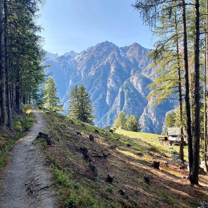 FEWOlution Ferienwohnung Chalet Jungtalblick: Drieri Grächen