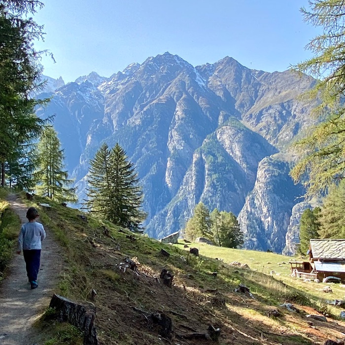 FEWOlution Ferienwohnung Chalet Jungtalblick: Drieri Grächen